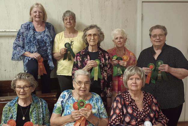 Winners of top awards – (front row, from left) Ruth Fabian, Jan Ripper, Bonnie Baker, (back row) Janet Murphy, Debbie Behlen, Wanda Brown, Mary Demel and Janet Kobza.