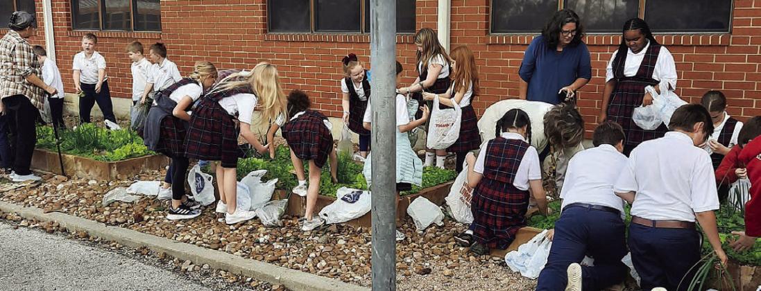 Third and fourth graders are shown during the harvest. Interacting with them are Sheila Klimitchek (standing in back, second from right), third grade teacher, and Karen Miley (standing at far left), Bluebonnet Master Gardener.
