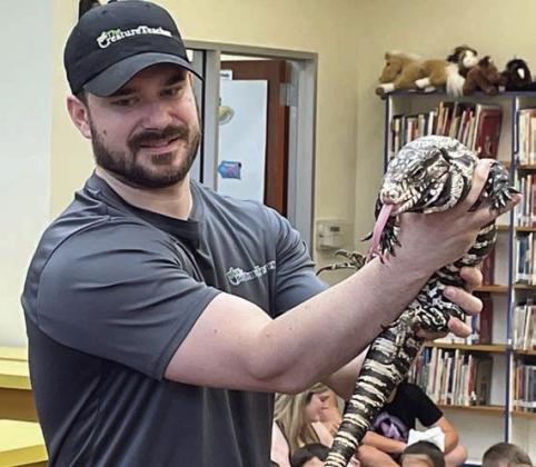 Orion, the tegu