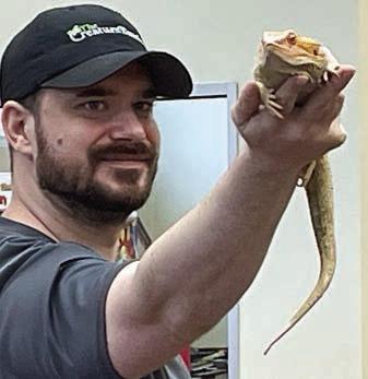 Dino, the bearded dragon