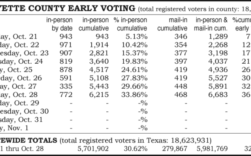 Early voting statistics for Nov. 5 election | Schulenburg Sticker
