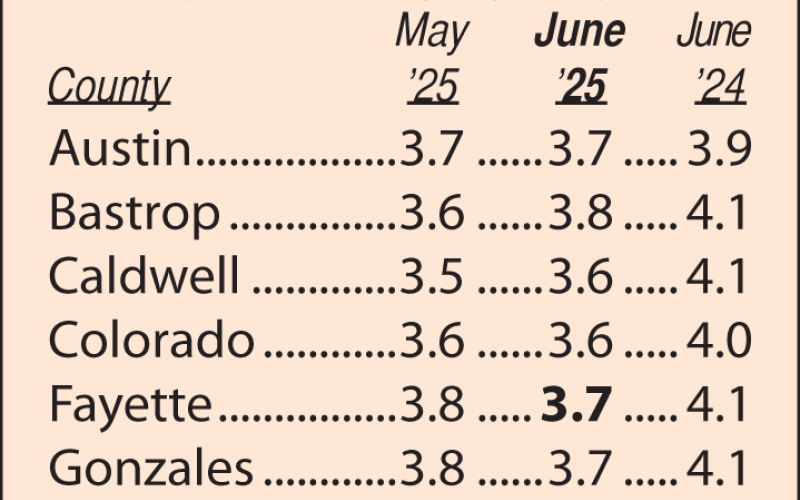 Area Unemployment Rates