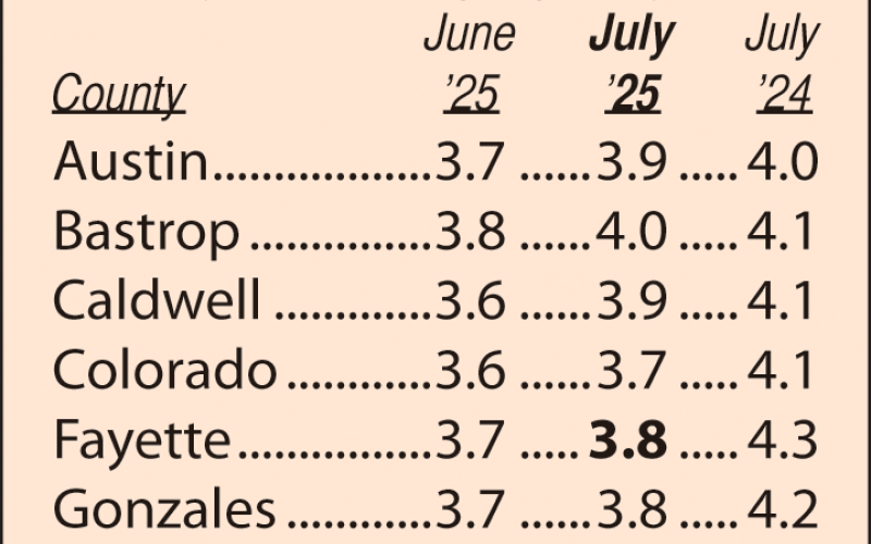 Area Unemployment Rates