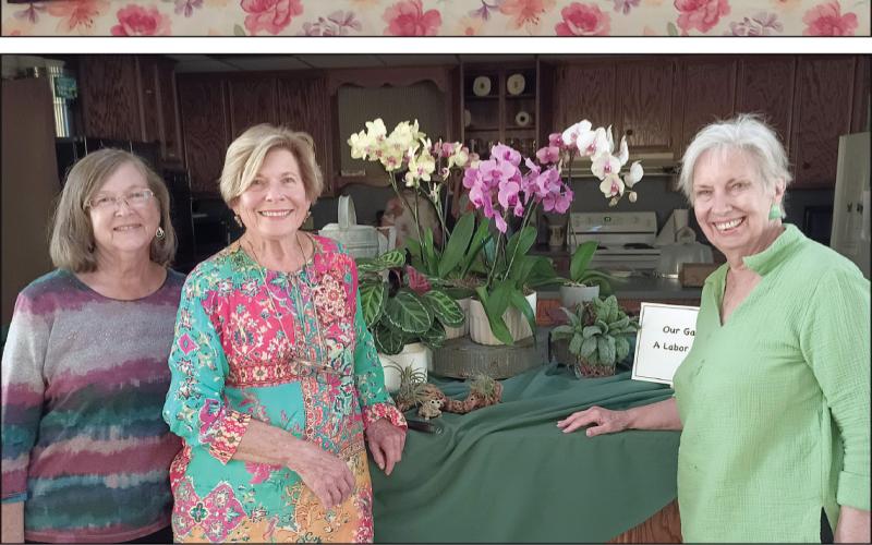 Garden Club meeting highlights