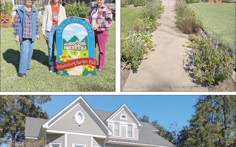 Magliolo residence chosen for yard of the month
