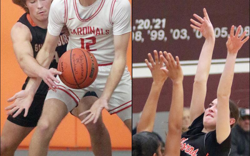 Winning weeks for SHS hoops