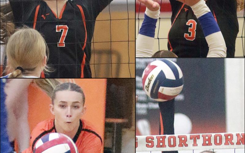 Four Lady Horns named all-state by TGCA
