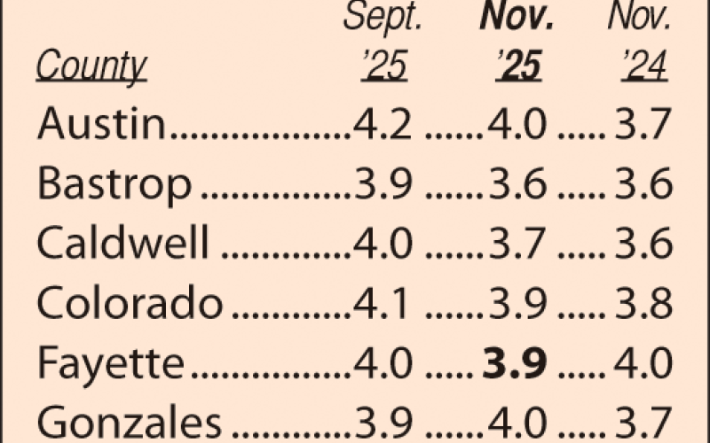 Area Unemployment Rates