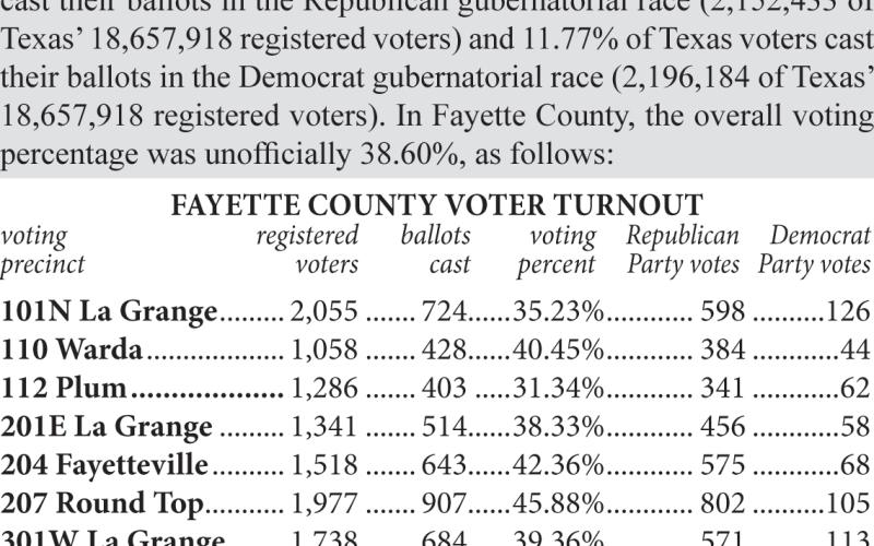 Primary Election Voter Turnout