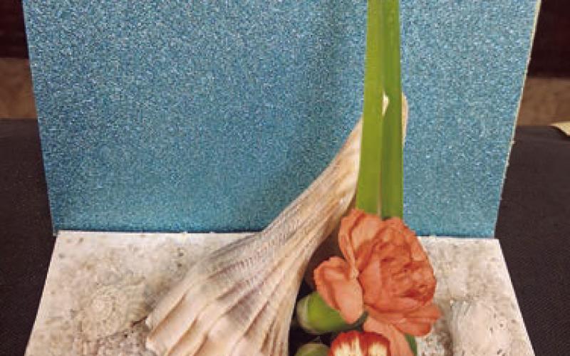 Design Winner – Class 5 “Caribbean” by Mary Demel