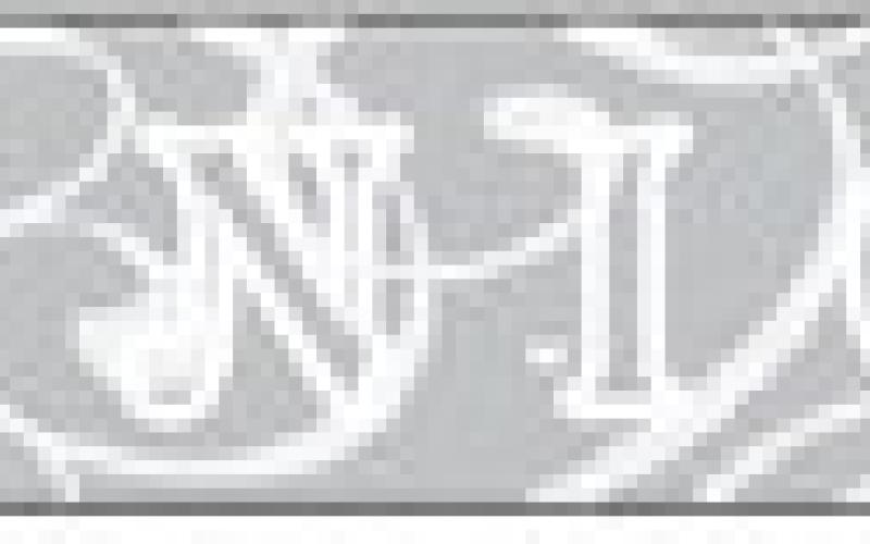 Alt Text for Image