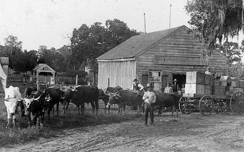 This photo of George Huebner with his ox-team at O’Quinn in the 1890s was captured by Louis Melcher. Courtesy of Fayette Heritage Museum &amp;amp; Archives