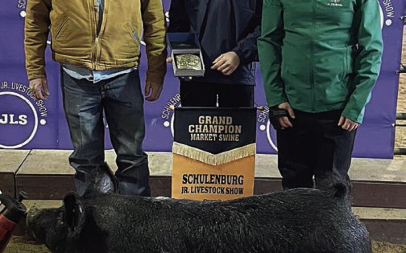 SWINE – Exhibitor: Abraham McBride (right). Sale price: $11,500. Sticker Photo By Darrell Vyvjala
