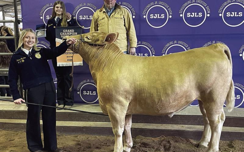 STEER – Exhibitor: Keeley Warnken (front). Sale price: $15,750. Sticker Photo By Darrell Vyvjala