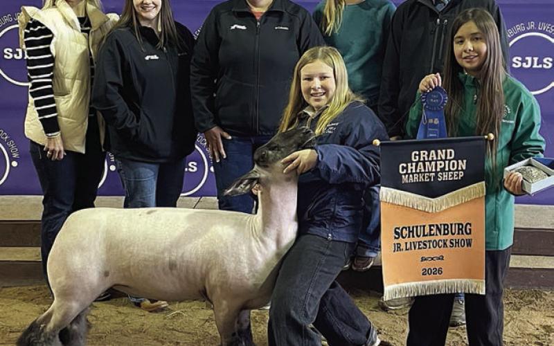 SHEEP – Exhibitor: Olivia Otto (front, left). Sale price: $7,225. Sticker Photo By Darrell Vyvjala