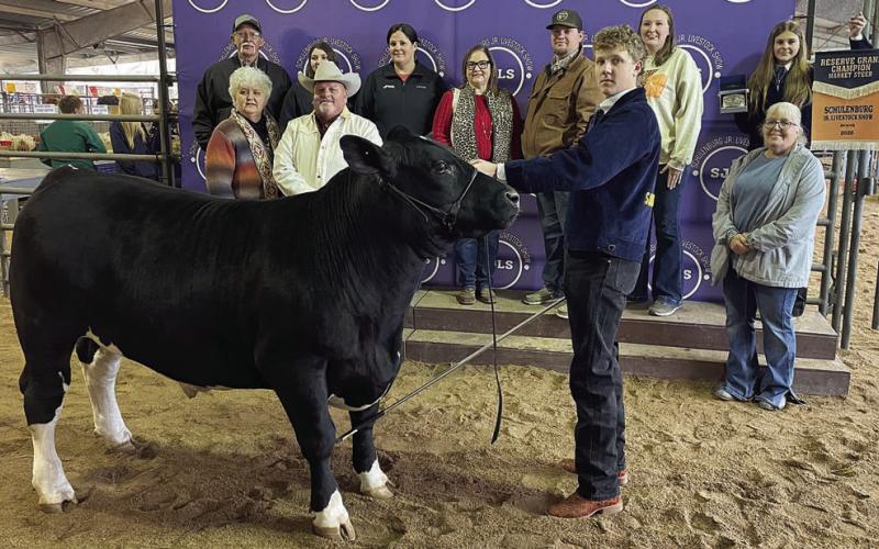 RESERVE CHAMPION MARKET STEER – Exhibitor: Tayt Wenske (front). Sale price: $8,350. Sticker Photo By Darrell Vyvjala