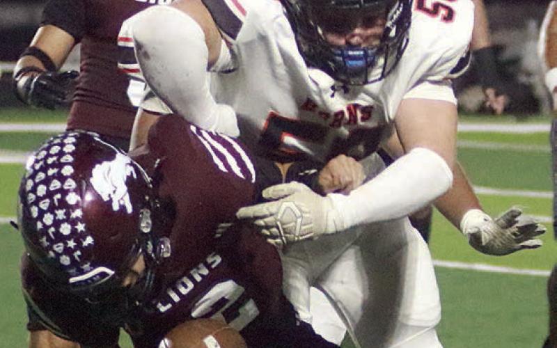 Horns take down 4-0 Lions
