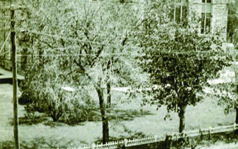 Circ a 1900 photo of the west side of the Courthouse taken from the second floor or roof of the Fink Building at 155 North Main in La Grange shows the iron fence that once surrounded the Courthouse. A wagon-drawn by a team of mules is tied to a hitching post, while a man is riding a bicycle down Main Street, which was still unpaved at the time. Photo Courtesy of Fayette Heritage Museum &amp;amp; Archives