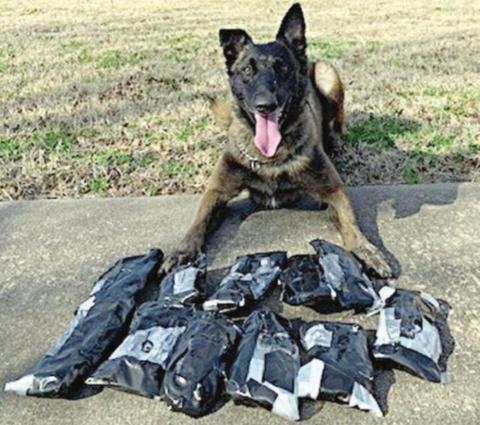 Raw fentanyl worth $637,000 found