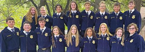 Schulenburg FFA Chapter receives awards at state convention