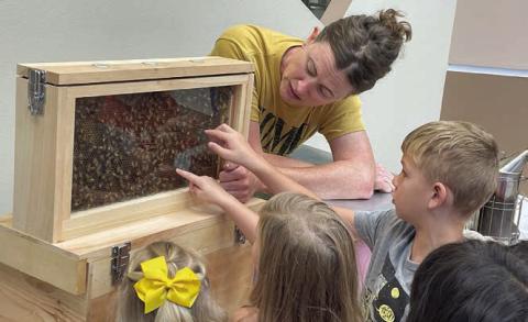 Public Library abuzz with summer activities