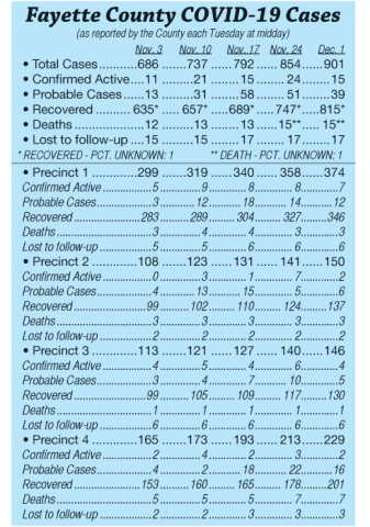 COVID-19 cases