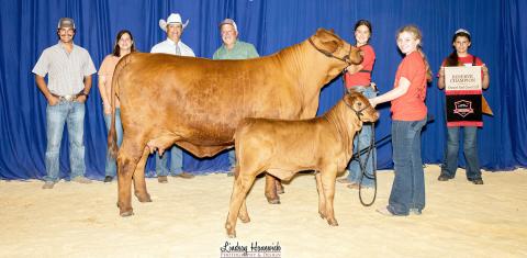 Matocha shows reserve champion at state junior Brangus show