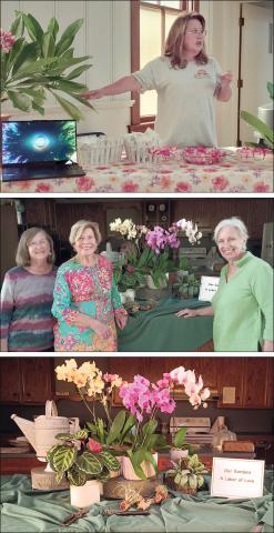 Garden Club meeting highlights