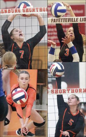 Four Lady Horns named all-state by TGCA