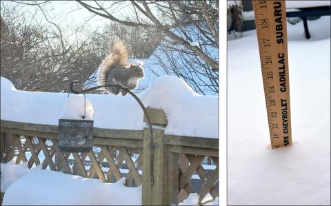 Lots of snow for North Carolina