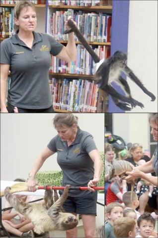 ‘Wild Things’ at the Public Library