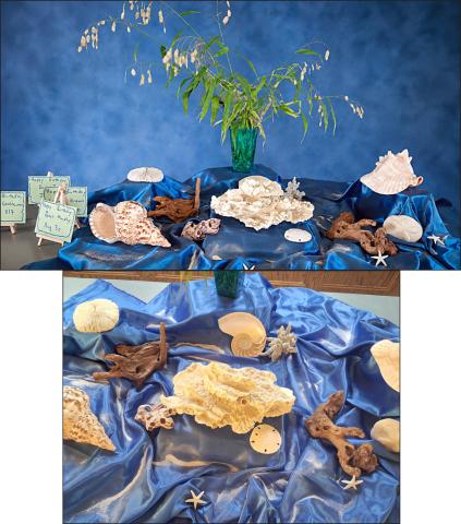 The centerpiece carried out a seashore theme.