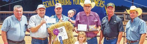 Young Farmers Hay Show grand champion