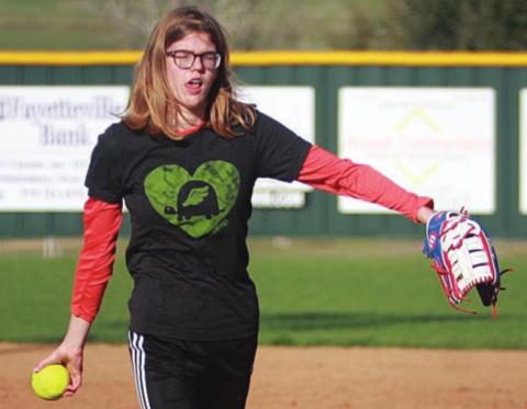 First pitch for Turtle Wing game