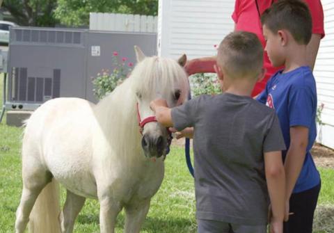 Mini Horse Helpers come to Library