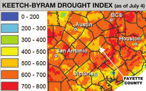 Source: Texas A&M Forest Service