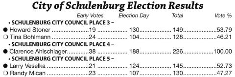 Veselka, Stoner win close Council races