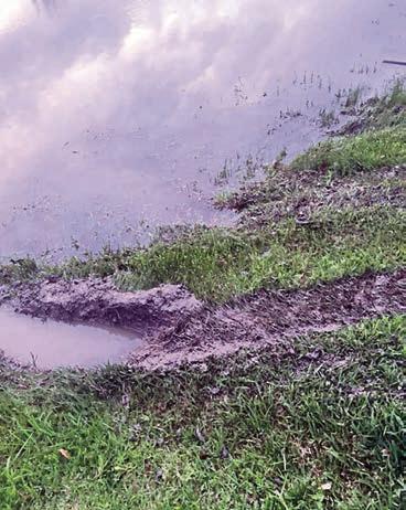 Damage by UTV reported at Frisch Auf! golf course