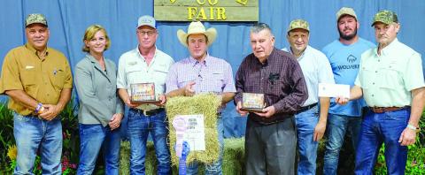 Reserve Champion