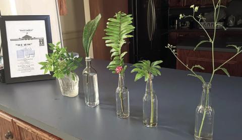 Examples of horticulture were displayed for members to see how to properly prepare entries for the flower show. At left is a framed flyer for the flower show on April 24.