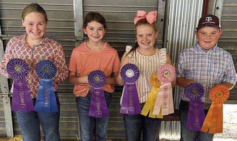 4-H’ers enter Guadalupe County judging contest