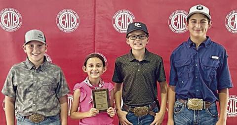 4-H’ers compete in Colorado Co. livestock judging
