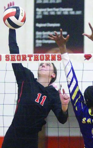 accolades for Magliolo, Zapalac