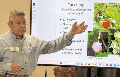 Senior Connections has program on plants
