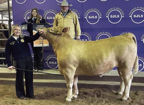 STEER – Exhibitor: Keeley Warnken (front). Sale price: $15,750. Sticker Photo By Darrell Vyvjala
