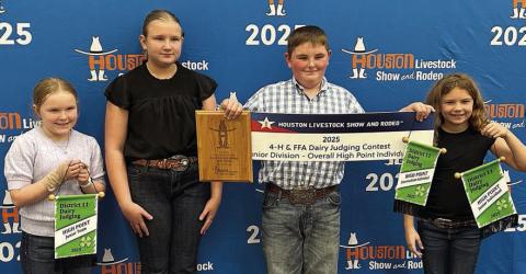 Fayette 4-H dairy judging team wins