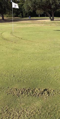 Leads sought on damage to Flatonia Golf Course