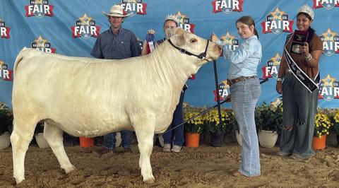 Kyrroll Prihoda (second from right), a member of the Schulenburg FFA, exhibited the overall grand champion heifer in the breeding beef heifer show at the Fayette County Fair, held Labor Day weekend at the Fairgrounds in La Grange. Prihoda’s overall champion heifer was also the grand champion exotic heifer. She also exhibited the reserve champion exotic heifer She is shown with judge Keaton Dodd (left) and two Fayette County Fair Queen representatives.