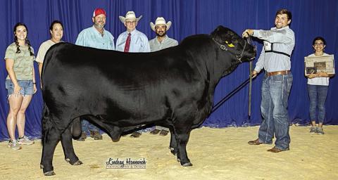 Champions Valley Brangus exhibits grand champion at Brazos Expo