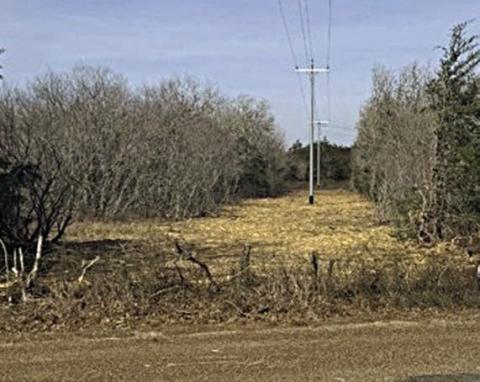 Vegetation can be major source of service interruptions, so Fayette Electric Cooperative invests in planned, proactive vegetation management to address potential issues before they result in outages.